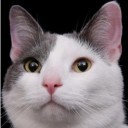 好來母嬰育兒喵~